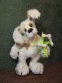 White dog with brown stains.