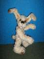 White dog with brown stains.