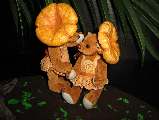 Life of mushrooms